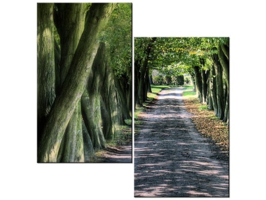 Obraz Droga wśród drzew, 2 elementy, 60x60 cm Oobrazy