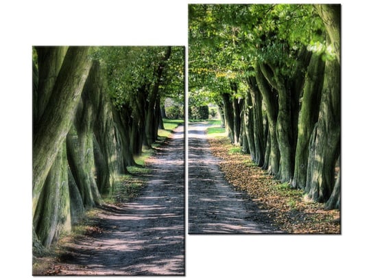 Obraz Droga wśród drzew, 2 elementy, 80x70 cm Oobrazy