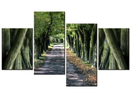 Obraz Droga wśród drzew, 4 elementy, 120x70 cm Oobrazy