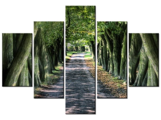 Obraz, Droga wśród drzew, 5 elementów, 100x70 cm Oobrazy