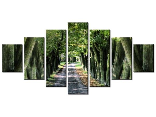 Obraz Droga wśród drzew, 7 elementów, 210x100 cm Oobrazy