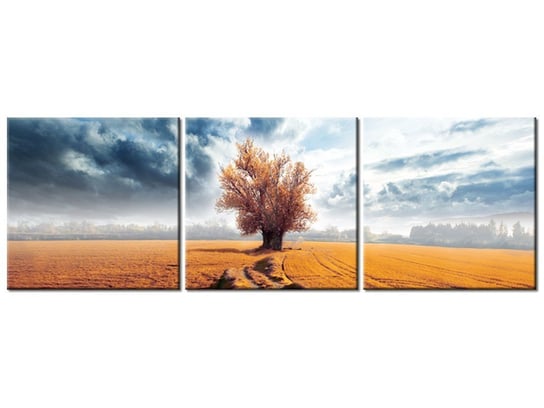 Obraz Drzewko, 3 elementy, 120x40 cm Oobrazy