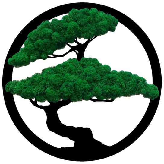 Obraz Drzewo Bonsai Ciemny Mech Chrobotek 30Cm SARTS