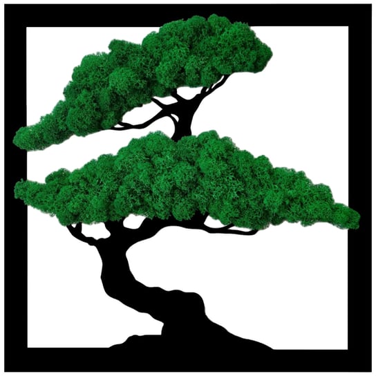 Obraz Drzewo Bonsai Ciemny Mech Chrobotek Kwadrat 30Cm SARTS