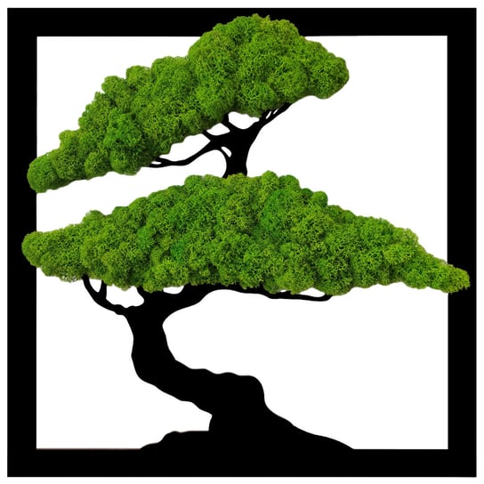Obraz Drzewo Bonsai Mech Chrobotek Kwadrat 30Cm SARTS