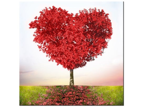 Obraz Drzewo miłości, 50x50 cm Oobrazy