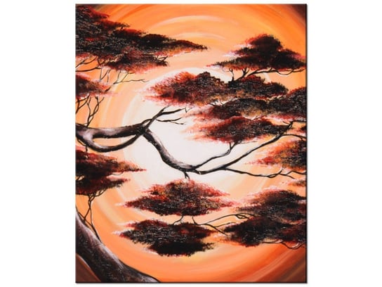 Obraz Drzewo Snów, 50x60 cm Oobrazy