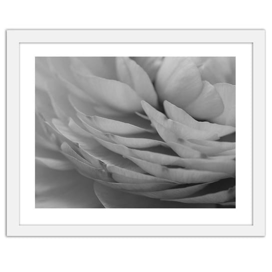 Obraz FEEBY Jaskier płatki kwiatu, 100x70 cm Feeby