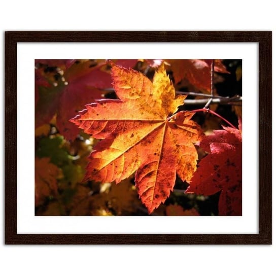 Obraz FEEBY Jesienny liść, 70x50 cm Feeby