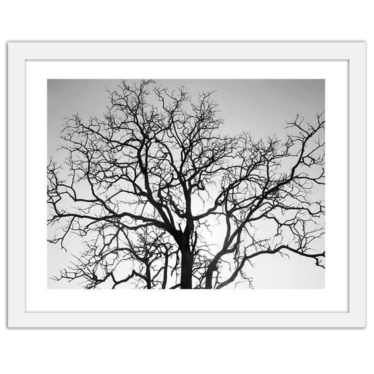 Obraz FEEBY Korona drzewa, 50x40 cm Feeby
