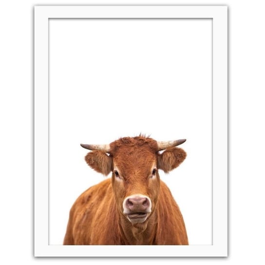 Obraz FEEBY Krowa portret, 80x120 cm Feeby