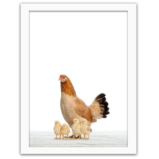 Obraz FEEBY Kura z kurczakami, 60x80 cm Feeby