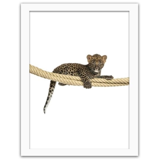 Obraz FEEBY Leopard na linie, 30x40 cm Feeby