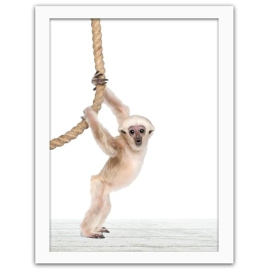 Obraz FEEBY Małpka z liną, 60x90 cm Feeby