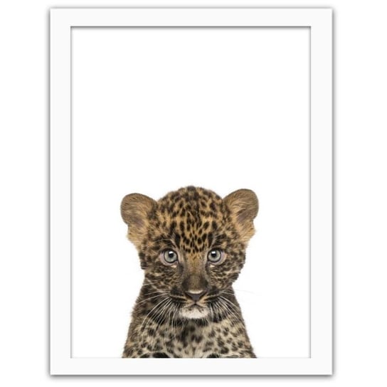 Obraz FEEBY Mały leopard, 60x80 cm Feeby