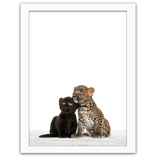 Obraz FEEBY Mały leopard i puma, 21x29,7 cm Feeby