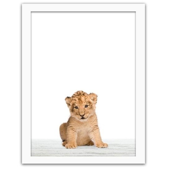 Obraz FEEBY Mały lew 3, 80x120 cm Feeby