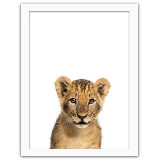 Obraz FEEBY Mały lew, 80x120 cm Feeby
