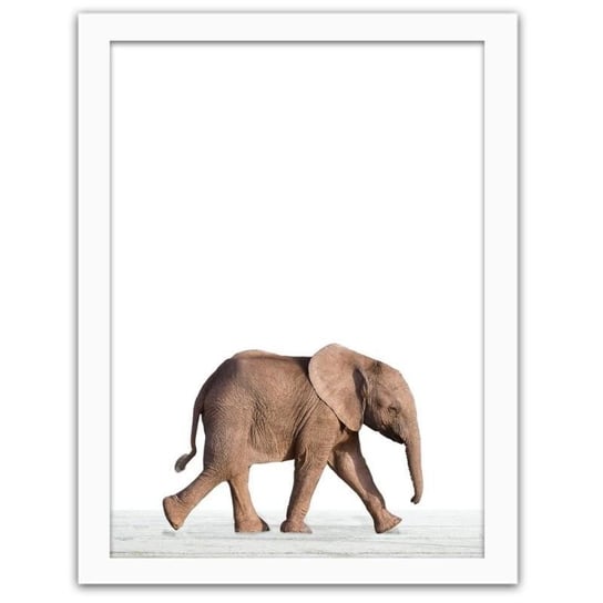 Obraz FEEBY Mały słoń, 90x60 cm Feeby