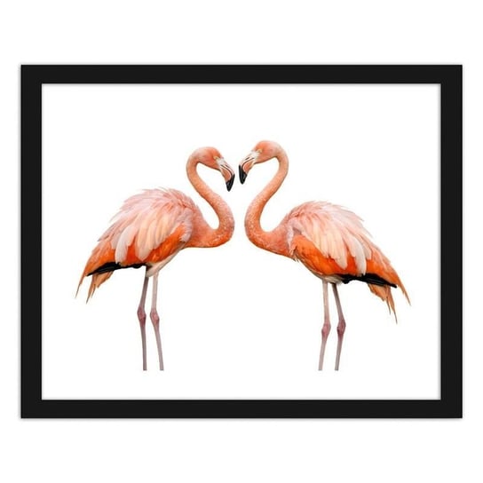Obraz FEEBY Miłość dwóch flamingów, 50x40 cm Feeby