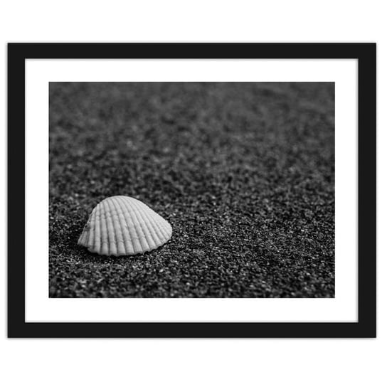 Obraz FEEBY Muszla na piasku, 40x30 cm Feeby