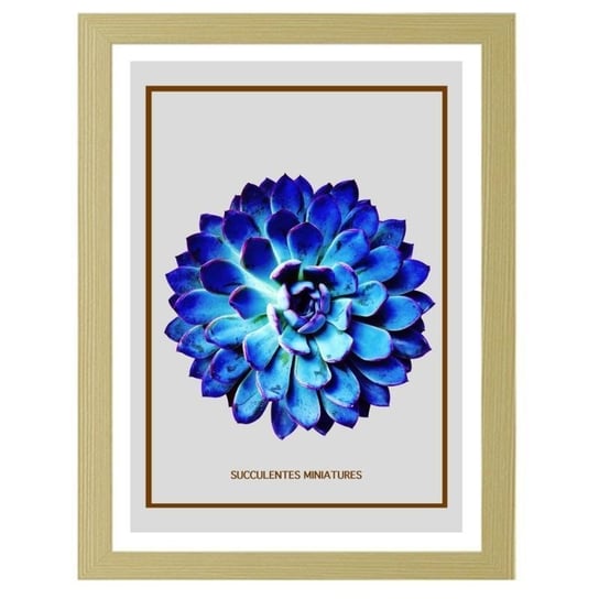 Obraz FEEBY Niebieski kaktus 4, 40x50 cm Feeby