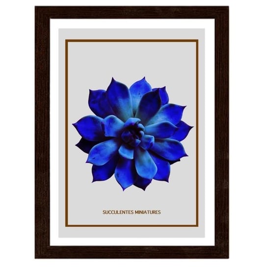 Obraz FEEBY Niebieski kaktus, 60x80 cm Feeby
