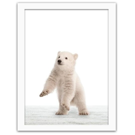 Obraz FEEBY Niedźwiadek polarny, 50x70 cm Feeby
