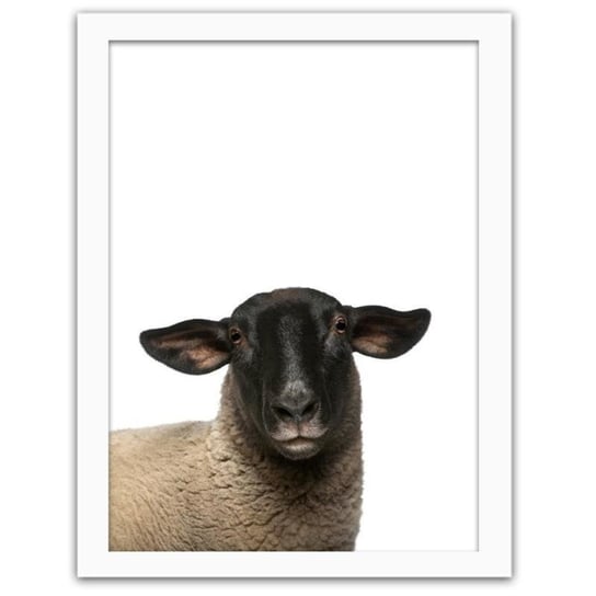 Obraz FEEBY Owca, 21x29,7 cm Feeby