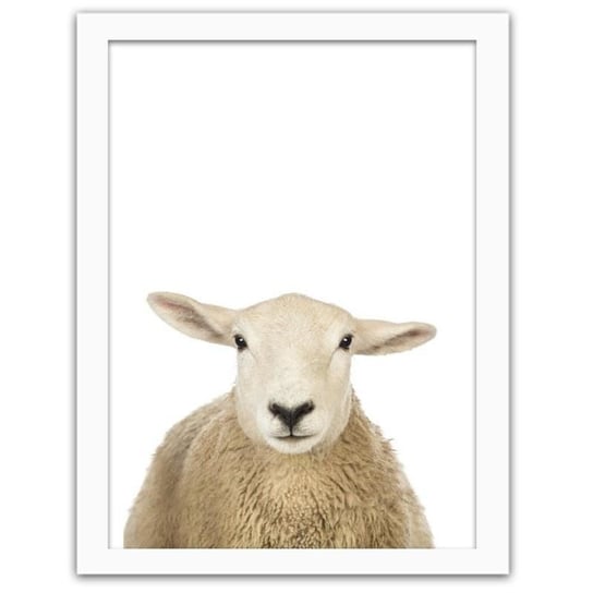 Obraz FEEBY Owca portret, 21x29,7 cm Feeby