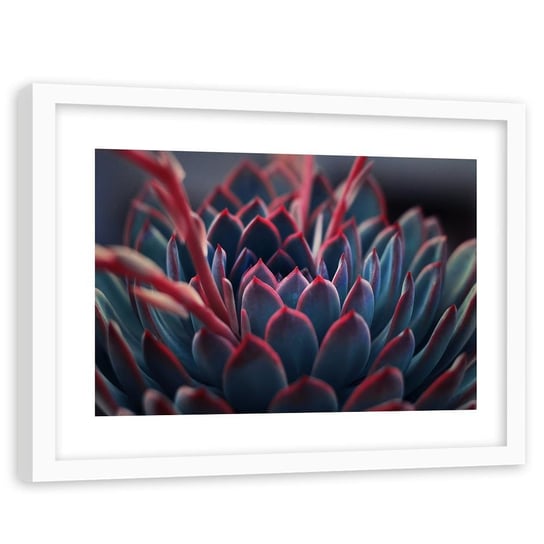 Obraz FEEBY Piękna roślina, 120x80 cm Feeby