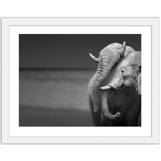 Obraz FEEBY Rodzina słoni, 50x40 cm Feeby