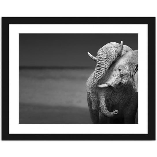 Obraz FEEBY Rodzina słoni, 90x60 cm Feeby