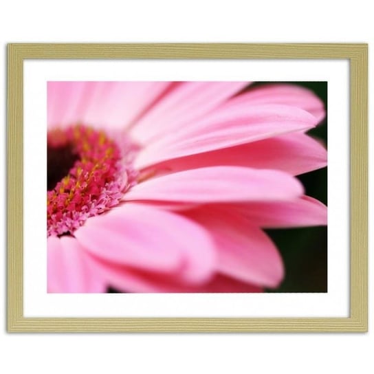 Obraz FEEBY Różowy gerber, 29,7x21 cm Feeby