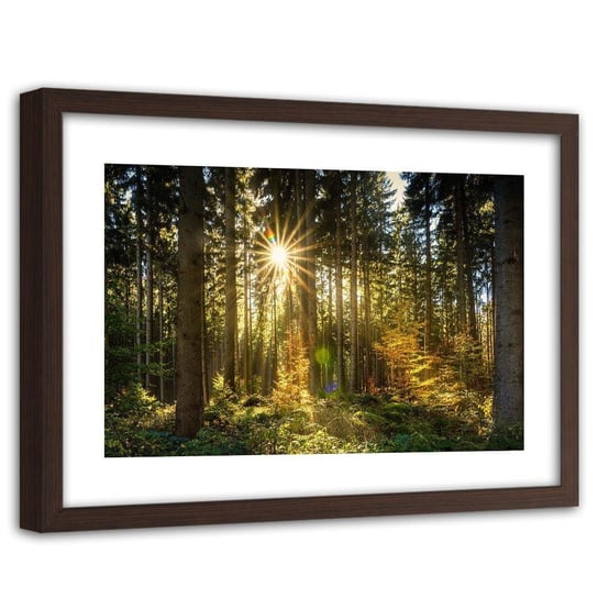 Obraz FEEBY Słońce w lesie, 120x80 cm Feeby
