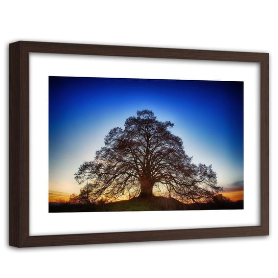 Obraz FEEBY Wielkie drzewo o zmroku, 90x60 cm Feeby