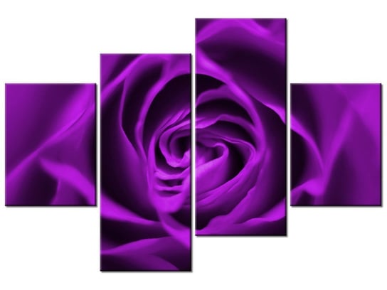 Obraz Fioletowa róża, 4 elementy, 120x80 cm Oobrazy
