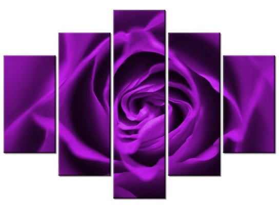 Obraz, Fioletowa róża, 5 elementów, 150x105 cm Oobrazy
