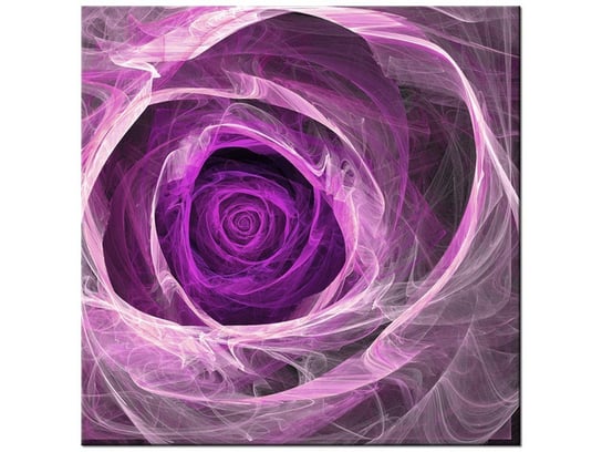 Obraz Fioletowa róża, 50x50 cm Oobrazy