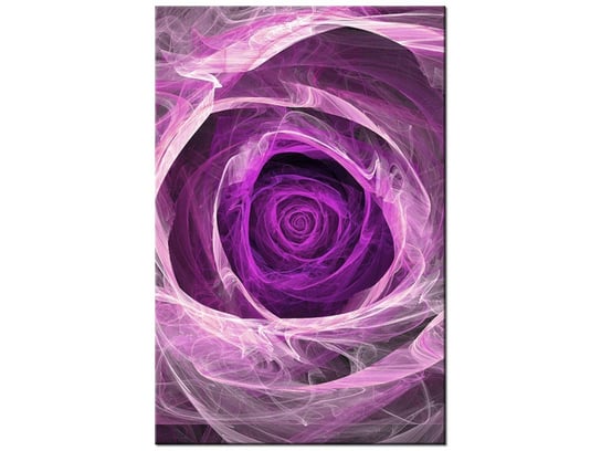 Obraz Fioletowa róża, 60x90 cm Oobrazy