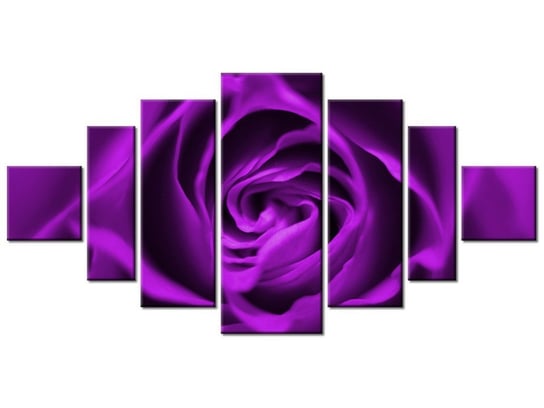 Obraz Fioletowa róża, 7 elementów, 200x100 cm Oobrazy