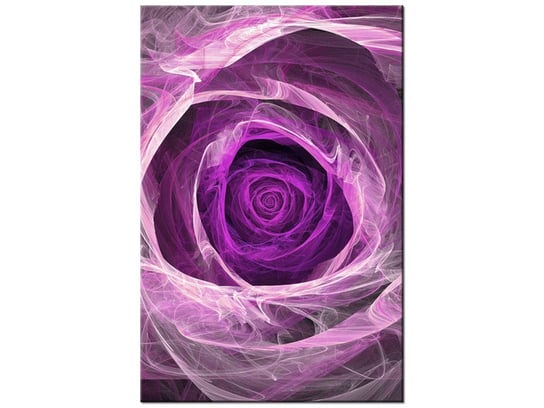 Obraz Fioletowa róża, 80x120 cm Oobrazy