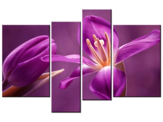 Obraz Fioletowe kwiaty, 4 elementy, 130x85 cm Oobrazy