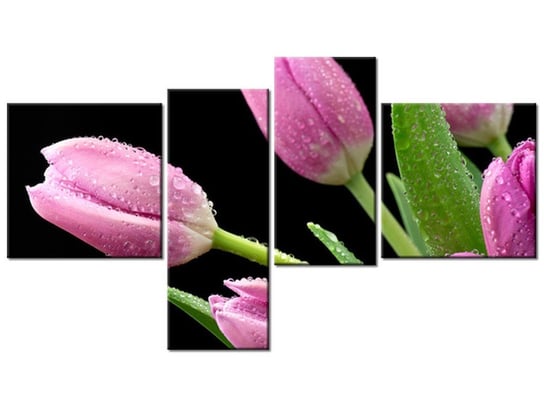 Obraz Fioletowe tulipany, 4 elementy, 100x55 cm Oobrazy