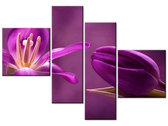 Obraz Fioletowe tulipany, 4 elementy, 100x70 cm Oobrazy