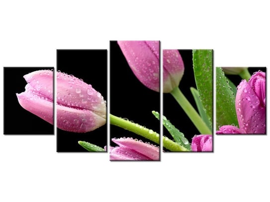 Obraz, Fioletowe tulipany, 5 elementów, 150x70 cm Oobrazy