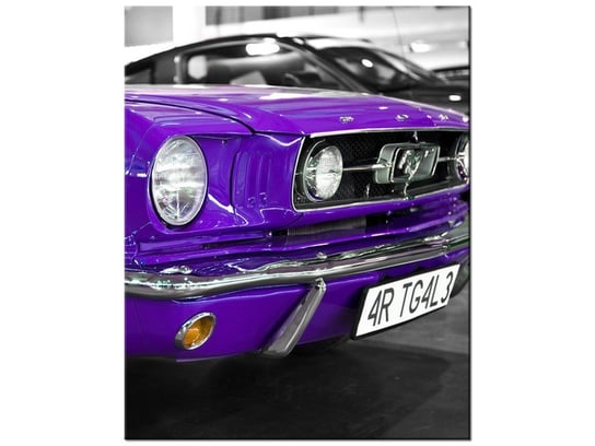 Obraz Fioletowy Mustang, 40x50 cm Oobrazy