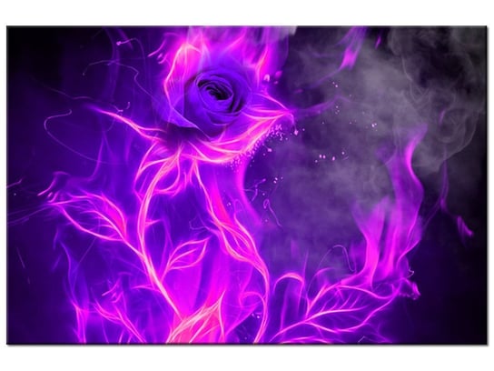 Obraz Fioletowy ogień róży, 30x20 cm Oobrazy
