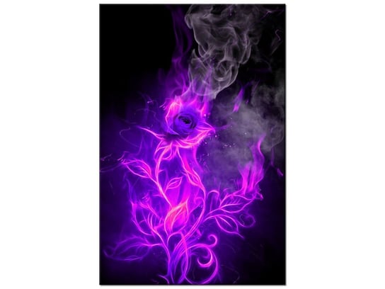 Obraz, Fioletowy ogień róży, 40x60 cm Oobrazy
