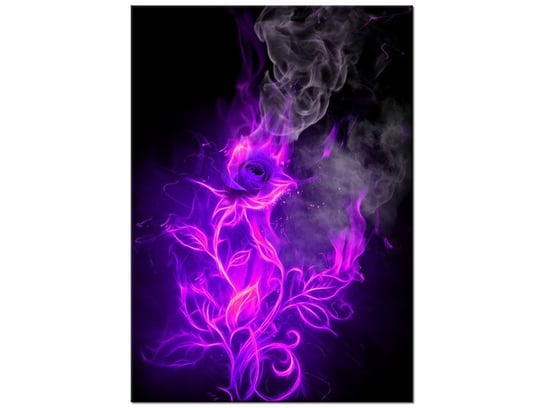 Obraz Fioletowy ogień róży, 50x70 cm Oobrazy